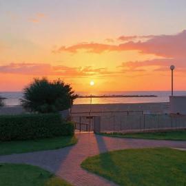 Simona mare