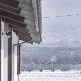 Whole House 14 Guests,Zao Ski&Onsen,Yamagata,ZAO ORCHARD HOUSE