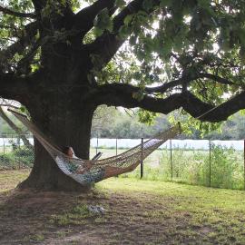 Lismore Guest Farm, hotel in Suurbraak