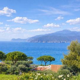 LE MUSE APARTMENTS - Elba Affitti
