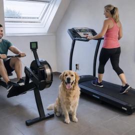 Fitness loft 50 m2