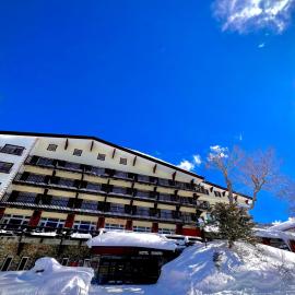 Hotel Kodama, hotel in Yamanouchi