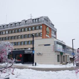 Dzūkija Hotel, ξενοδοχείο σε Alytus
