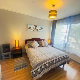 Hermoso Departamento, En la Mejor Ubicación, hotel in Viña del Mar