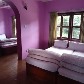 Golden lotus wellness retreat, Hotel in Nagarkot