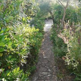 Green Garden