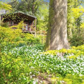 1 Bed in Milton Abbas oc-w32019, hotel a Milton Abbas