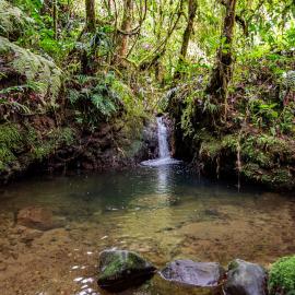 Boskoso Forest Retreat Jacuzzi & Waterfall