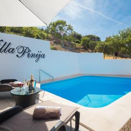 Villa with private pool terrace and garden, Hotel in Nerežišća