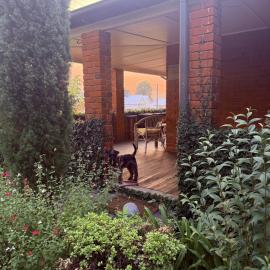 Towncottage Tenterfield Stay with Scenic Views, hotel a Tenterfield