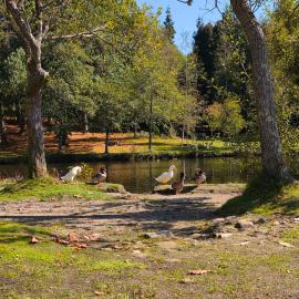La Casa del Lago Castiñeiras refugio para familias y amigos