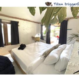 Triggerfish Hut at Casa Domingo