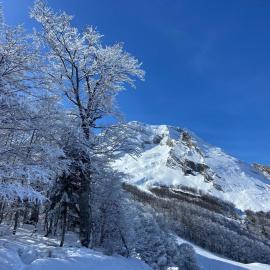 Auberge de la Vallée d'Ossau, hotel i Izest