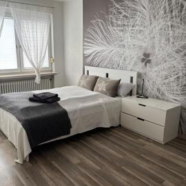 Niedenstein में, होटल Modernes ruhiges Landhaus bei Kassel - Ganzes Ferienhaus mit 4 Schlafzimmern, Sauna & Garten