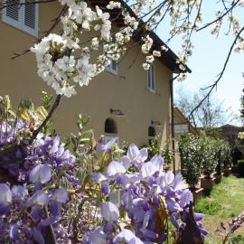 Hotel Calzaiolo, hotel San Casciano in Val di Pesában