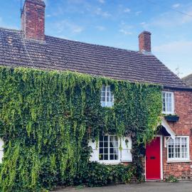 Teddy's Cottage