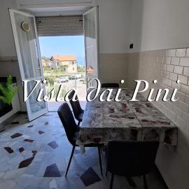 Vista dai pini