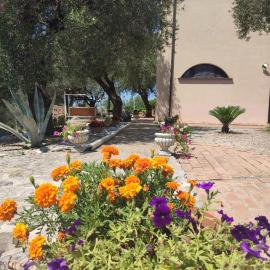 Petrus Cilento Rooms