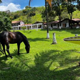 Finca El Saladero, hotel Ebéjico városában
