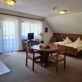 Pension Hauber - Kirchturmblick, hotel in Herrischried