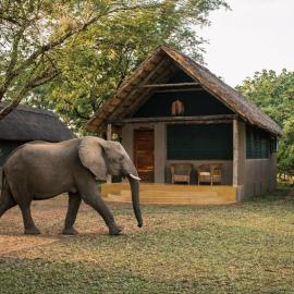 음판다에 위치한 호텔 Thornicroft Lodge - South Luangwa