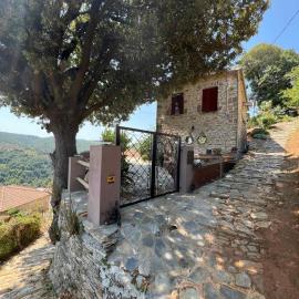 Alta Vista Guest House