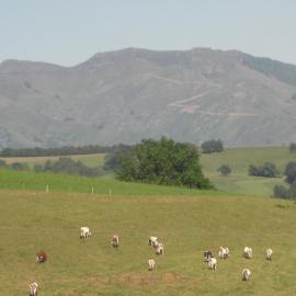Guéraçague Etcheverry Garaya