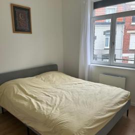 Bel appartement rénové entièrement - métro - proche Lille centre