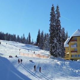 Burg Hotel Feldberg，位于费尔德伯格的酒店
