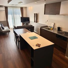Newly built luxury apartment Villa Miks