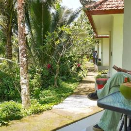 Jepun Sesandan Cottage & Retreat by ABM, hotel i Selemadeg