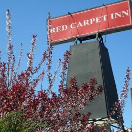 Red Carpet Inn Brooklawn, hotel in Brooklawn