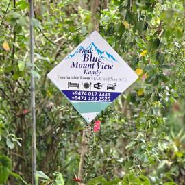 Hotel Blue Mount View Kandy