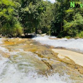 Nvoyages Plantataion Stay Coorg, hotel in Madikeri