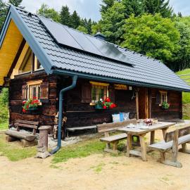 Götzfried-Almhütte - Alleinlage mit Panoramablick am Millstätter See