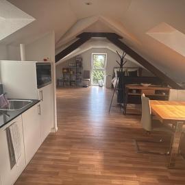 Bright attic apartment with charm, hotel Sargansban