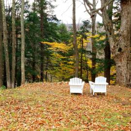 Black Bear Lodge, hotelli kohteessa Prattsville