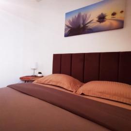 Nice & economic Studio