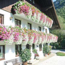 Treindlhof, hotel v destinaci Fuschl am See
