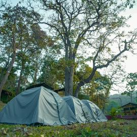 Dandeli में, होटल Dandeli River Valley Resort