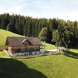Scharlinger Alm in Alleinlage direkt am Hauser Kaibling