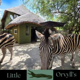 Little Orvyll's Studio- Near Kruger National Park, you can add up to six guests at our Larger Property Croc Orvyll's Kruger Lodge and all stay in one location
