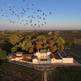 Château Moncets, hotel a Néac
