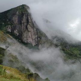Fogveilhomestay