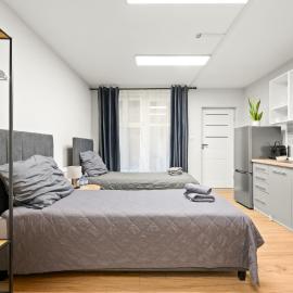 Central Platinum Apartments 5 Studio z aneksem kuchennym i tarasem, מלון בריבניק