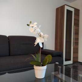 Aviva SONNENWINKEL - Ebenerdiges Juwel mit privater Gartenterrasse