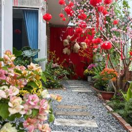 T-homestay Bình minh xanh, hotel u gradu Ðức Hòa