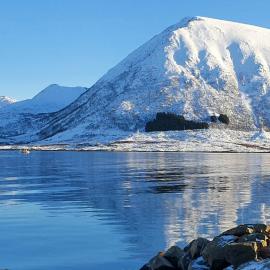 Lofoten Lodge - Live like the locals: Barstrand şehrinde bir otel