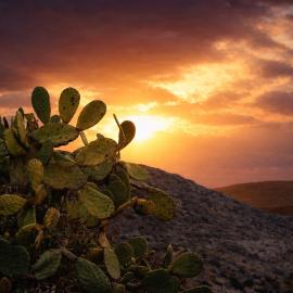 Prickly Pear House, hotel in Plaka Milou