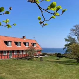 Wildernest Bornholm - Hjorten